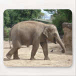 Asian Elephant Walking On Sand Mousepad