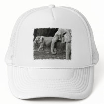 Asian Elephants Baseball Hat