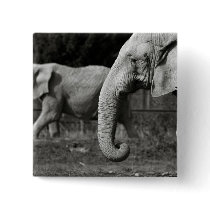 Asian Elephants Square Pin