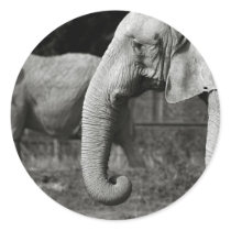 Asian Elephants Stickers