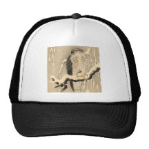 Asian Goshawk Painting Mesh Hats