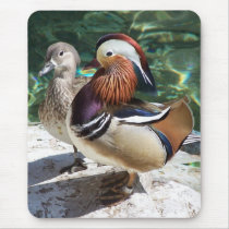 Asian Mandarin Ducks Male & Female Mouse Pads