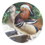 Asian Mandarin Ducks Male & Female stickers