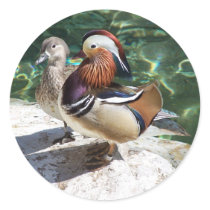 Asian Mandarin Ducks Male & Female Round Sticker