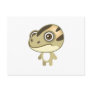Asian Painted Frog - My Conservation Park Post Card