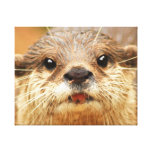 Asian Small Clawed Otter Gallery Wrap Canvas