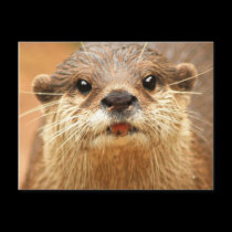 Asian Small Clawed Otter postcards