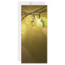AsianLanterns060709 Customized Rack Card