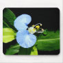 Asiatic day flower mouse pad