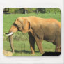 Asiatic Elephant Mouse Pads