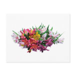 Asiatic Lilies Mixed Colours