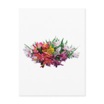 Asiatic Lilies Mixed Colours