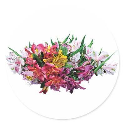 Asiatic Lilies Mixed Colours by SusanSavad