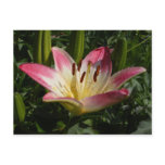Asiatic Lily 72 ~ postcard