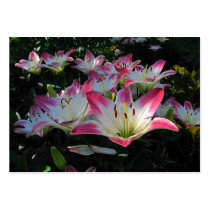 Asiatic Lily ~ ATC Business Card Templates