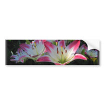 Asiatic Lily ~ Bumper Bumper Stickers