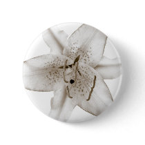 Asiatic Lily Pins