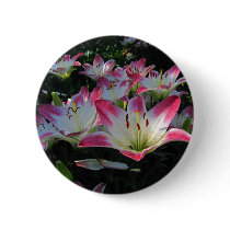 Asiatic Lily ~ button