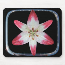 Asiatic Lily 'Lollipop' framed ~ mousepad