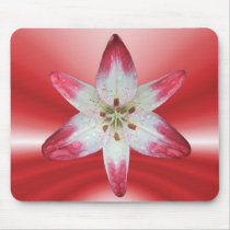 Asiatic Lily 'Lollipop' ~ mousepad