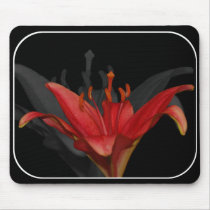 Asiatic Lily Mousepad