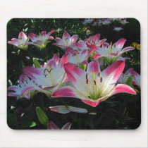 Asiatic Lily ~ mousepad