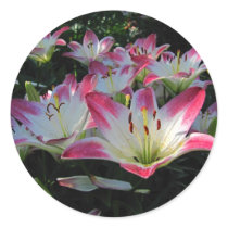 Asiatic Lily ~ sticker