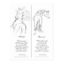"Aside" & "Curves" Horse bookmark Postcard