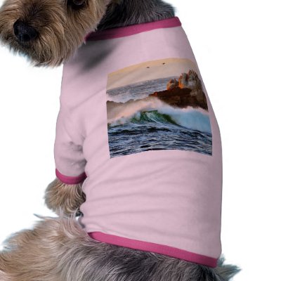Asilomar Beaches Waves Ocean Dusk Dog T Shirt by lifesphere