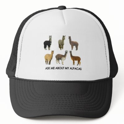 Ask me about my alpacas hat by nabrudigam