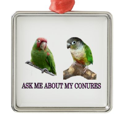 Ask Me About My Conures Christmas Tree Ornament by nabrudigam