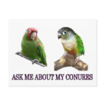 Ask Me About My Conures Postcards