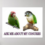 Ask Me About My Conures posters