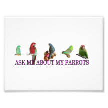 Ask Me About My Parrots Photographic Print
