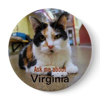Ask Me About Virginia Button by catherinesherman