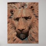 Aslan Lion Carved Stone relief St. Augustine Photo Poster