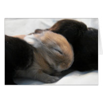 Asleep 2 cards