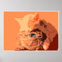 Asleep At The Wheel posters