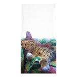 Asleep in the Sun Photo Cards photo cards