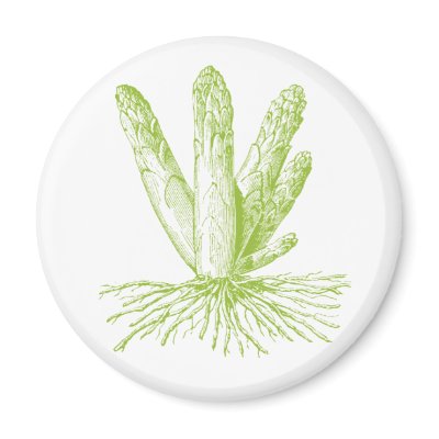Asparagus Magnet by ericar70