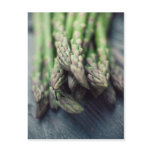 Asparagus Postcard