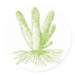 Asparagus Stickers