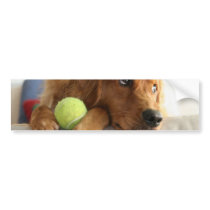 ASPCA-Dog Bumper Sticker