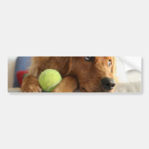 ASPCA-Dog Bumper Sticker