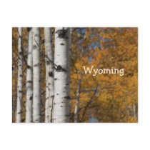 Aspen Alley In Fall Orange