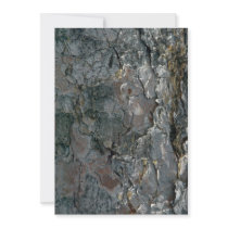 Aspen bark personalized announcements