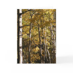 Aspen Gold Card