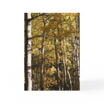 Aspen Gold Card