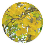 Aspen Gold Sealers! stickers