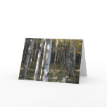 Aspen Grove Card